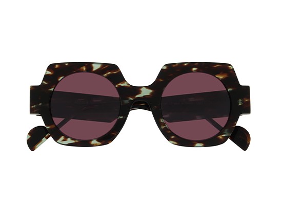 ANNE ET VALENTIN SMET