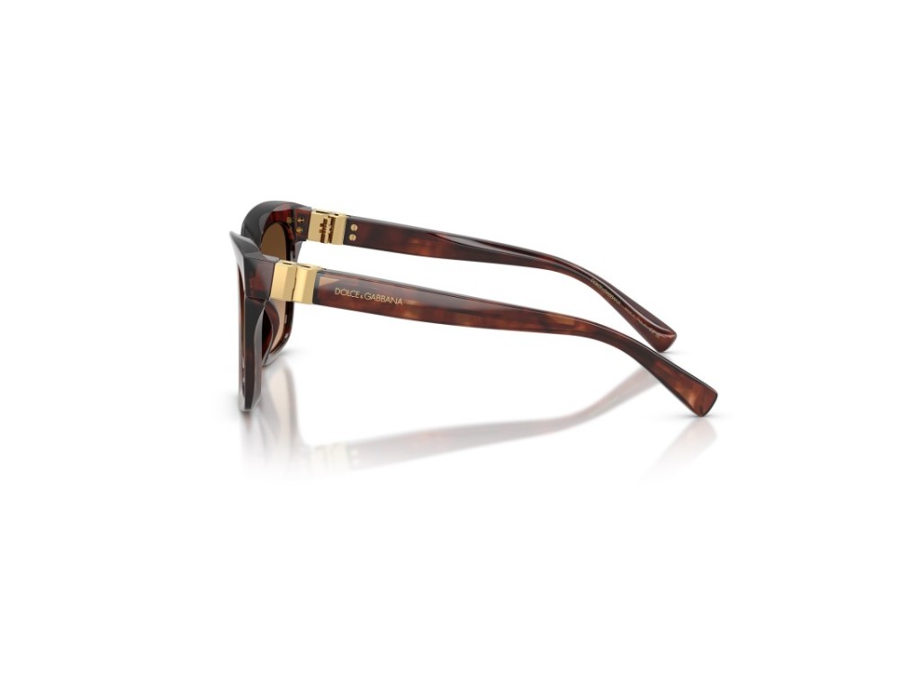 DOLCE E GABBANA DG 4498