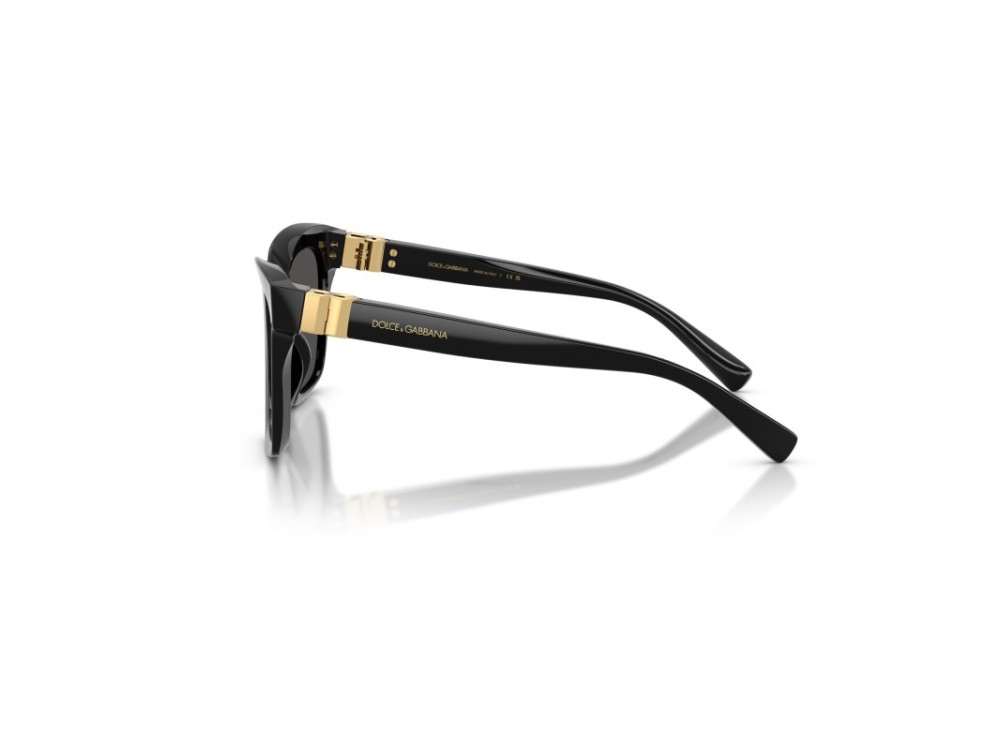 DOLCE E GABBANA DG 4498