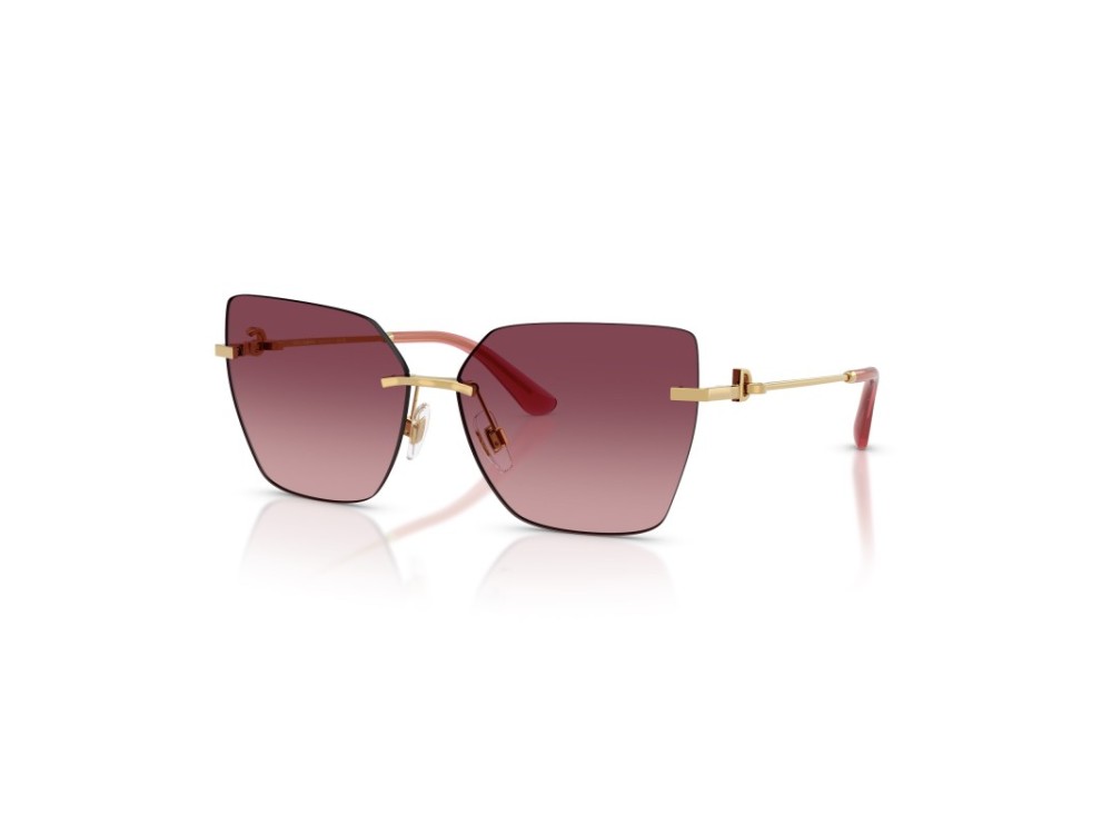 DOLCE E GABBANA DG 2321