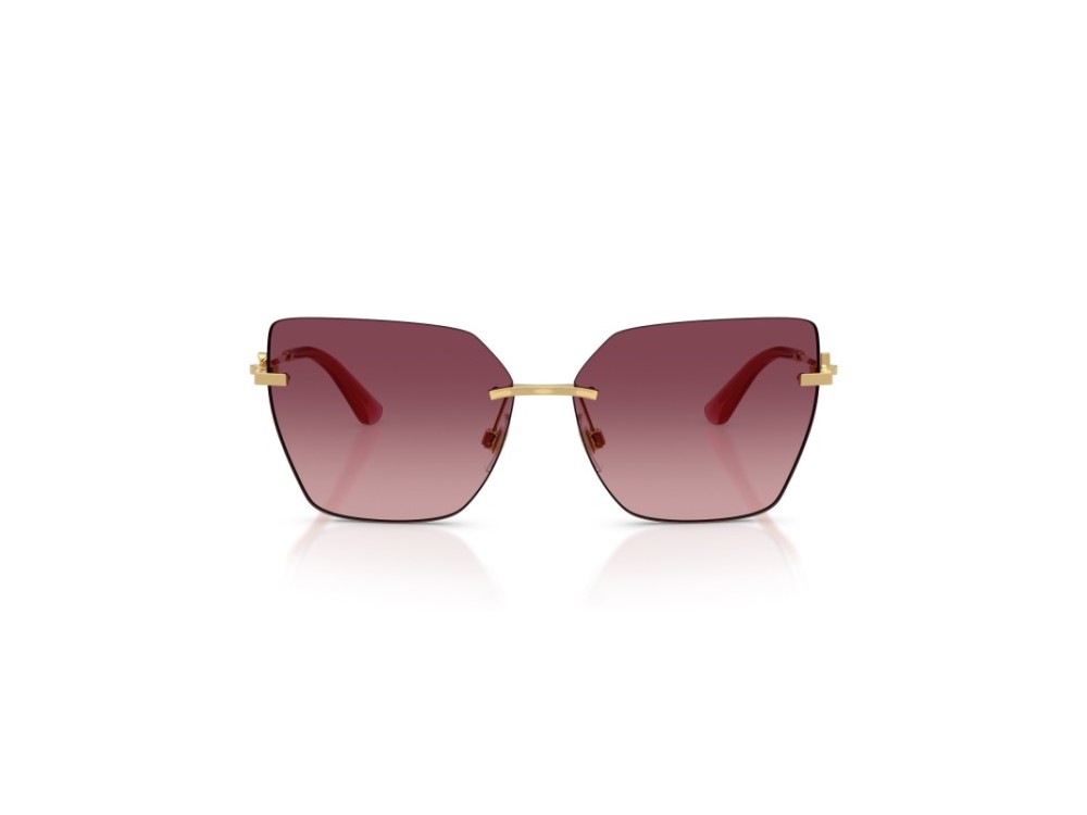DOLCE E GABBANA DG 2321