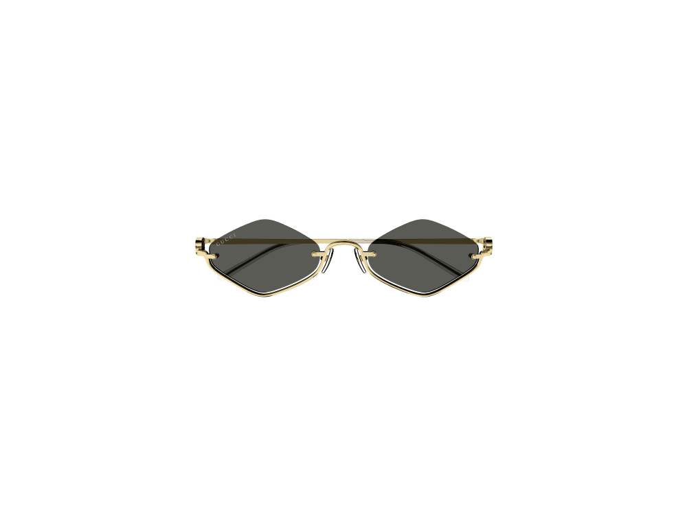 GUCCI GG1604S