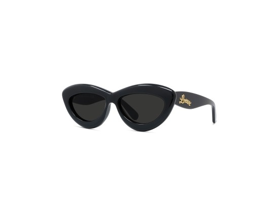 LOEWE LW40096I 2