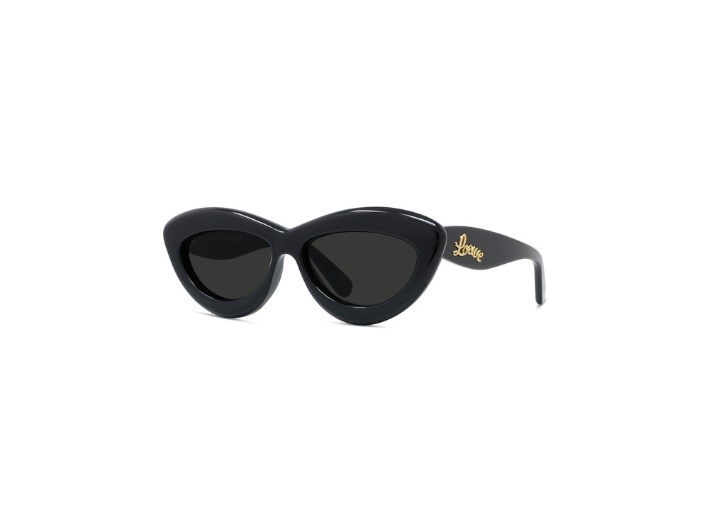LOEWE LW40096I