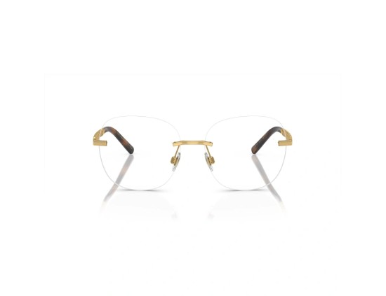 DOLCE E GABBANA DG1352 2